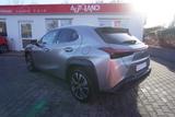Lexus UX 2.0 Hybrid 250 h LED Navi Kamera Totwinkel - Lexus UX aus 2023