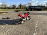 Kawasaki ER5n - 48ps - KAWASAKI ER 5