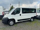 Citroën Jumper 9 sitzer