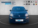 Fiat Panda MY25-Panda Hybrid 1.0 GSE 51kw 70PS PDC - Fiat Panda Gebrauchtwagen in Bremen