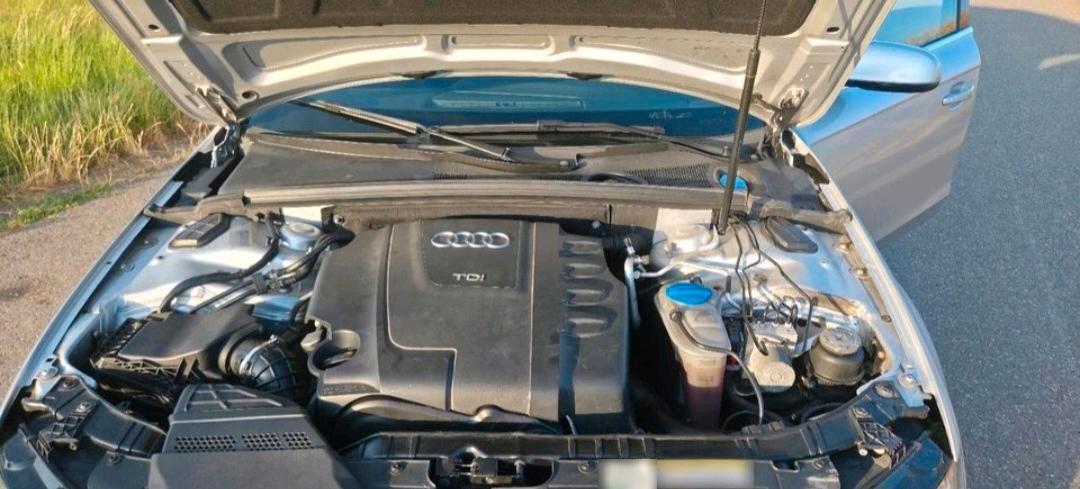 Audi A4 2011 — photo 6