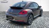 Volkswagen Beetle 1,4 TSI Exclusive Design Navi  - gebrauchte VW Beetle aus dem Jahr 2014