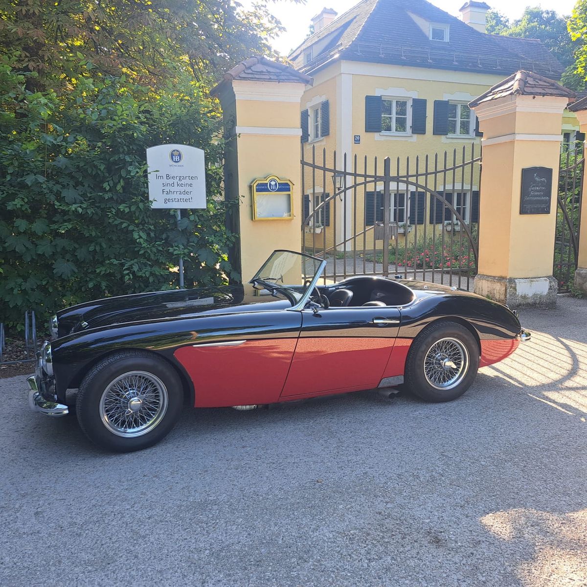 AUSTIN HEALEY ANDERE 6