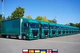 MAN TGX 18.470 / 2022 / Curtainsider / 15 units - MAN Reisebus
