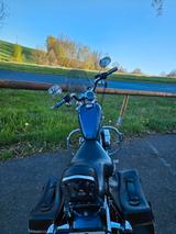 Harley-Davidson Sportster | XL 883 Custom | 100th Year Edition - HARLEY-DAVIDSON SPORTSTER 883 CUSTOM