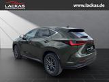 Lexus NX 350 h 243 PS Executive Inter ieur Paket + Tec - Lexus NX 350h Neuwagen