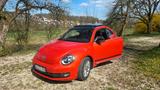 Volkswagen Beetle 1.2 TSI BMT CLUB CLUB - Volkswagen Beetle CLUB mit Benzin-Antrieb