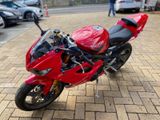 Triumph Daytona 675 - TRIUMPH 675 DAYTONA