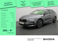 Skoda Octavia - Vorschau Bild 1