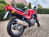 Kawasaki ER 5 Twister - Offers matching your search criteria