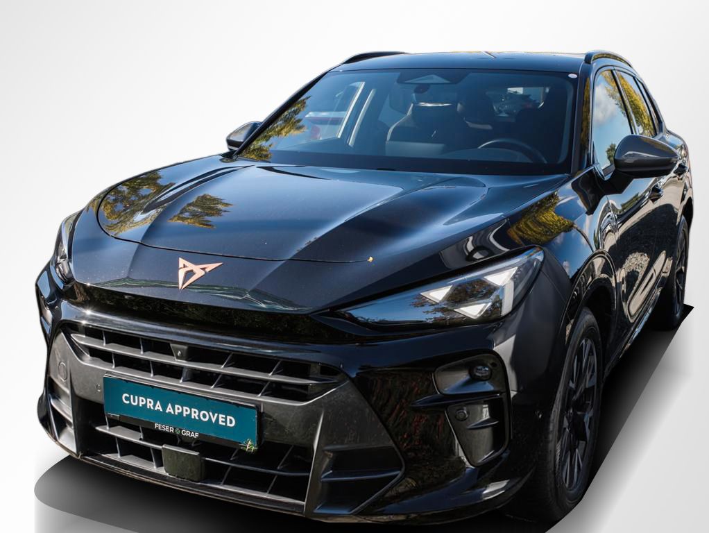 Cupra Terramar - Bild 12