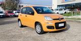 Fiat Panda 1.2 Easy s&s 69cv my19 - Fiat Panda Cabrio Gebrauchtwagen