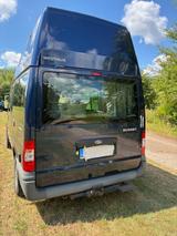 Ford Nugget (Hochdach) - Offers