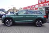 Skoda Kodiaq 2.0 Drive 125 4x4 DSG ACC Totwinkel AHK - Skoda: Grün