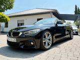 BMW 435i Cabrio Sport-Aut. M-Paket/LED/Sha... - BMW 435: M Paket