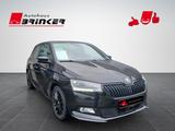 Skoda Fabia Monte Carlo 1.0 TSI EU6d Navi LED Sperrdif - Skoda Fabia Gebrauchtwagen in Bielefeld