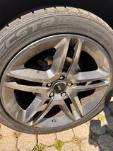 Ford Mustang Shelby GT 500 SVT - Ford Mustang: Svt