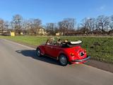 Volkswagen Käfer 1303 LS Cabriolet Originalzustand - Volkswagen: Cabrio, 1303