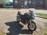 Suzuki Bandit