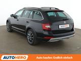 Skoda Octavia 2.0 TDI Scout 4x4 Aut.*NAV*ACC*PDC*SHZ* - Skoda Gebrauchtwagen in Frankfurt