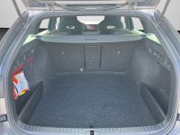 Skoda Octavia - Vorschau Bild 16