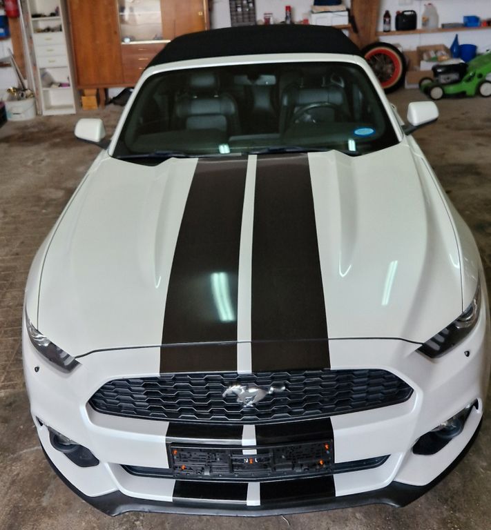 Image of Ford Mustang