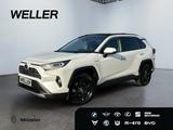 Toyota RAV 4 2.5 4x4 Hybrid Lounge *Pano*360°*4xSHZ*JBL