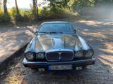 Jaguar XJ Daimler Double Six - H Zulassung... - Jaguar aus 1991