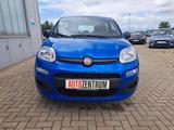 Fiat Panda MODELL 2025 1.0 Hybrid CITY-PAKET KLIMA  - Fiat Panda Neuwagen mit Benzin-Antrieb