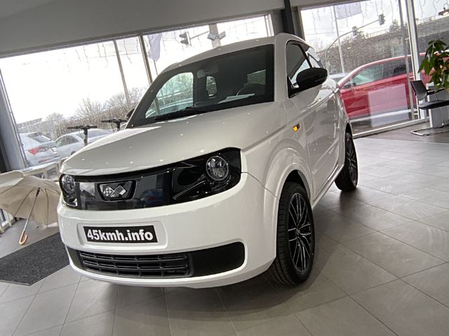 Ligier Myli Rückfahrkamera Sitzheitzung Carplay