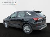 Ford Kuga Titanium FHEV +ACC+BLIS - Ford mit Benzin-Antrieb: Geländewagen, Automatik