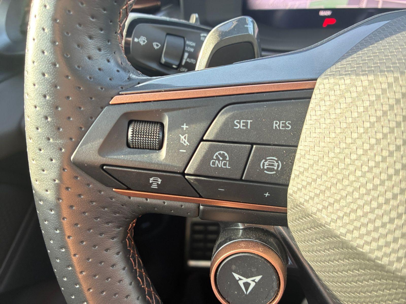 Cupra Terramar 1.5 eTSI DSG AHK Top View Navi