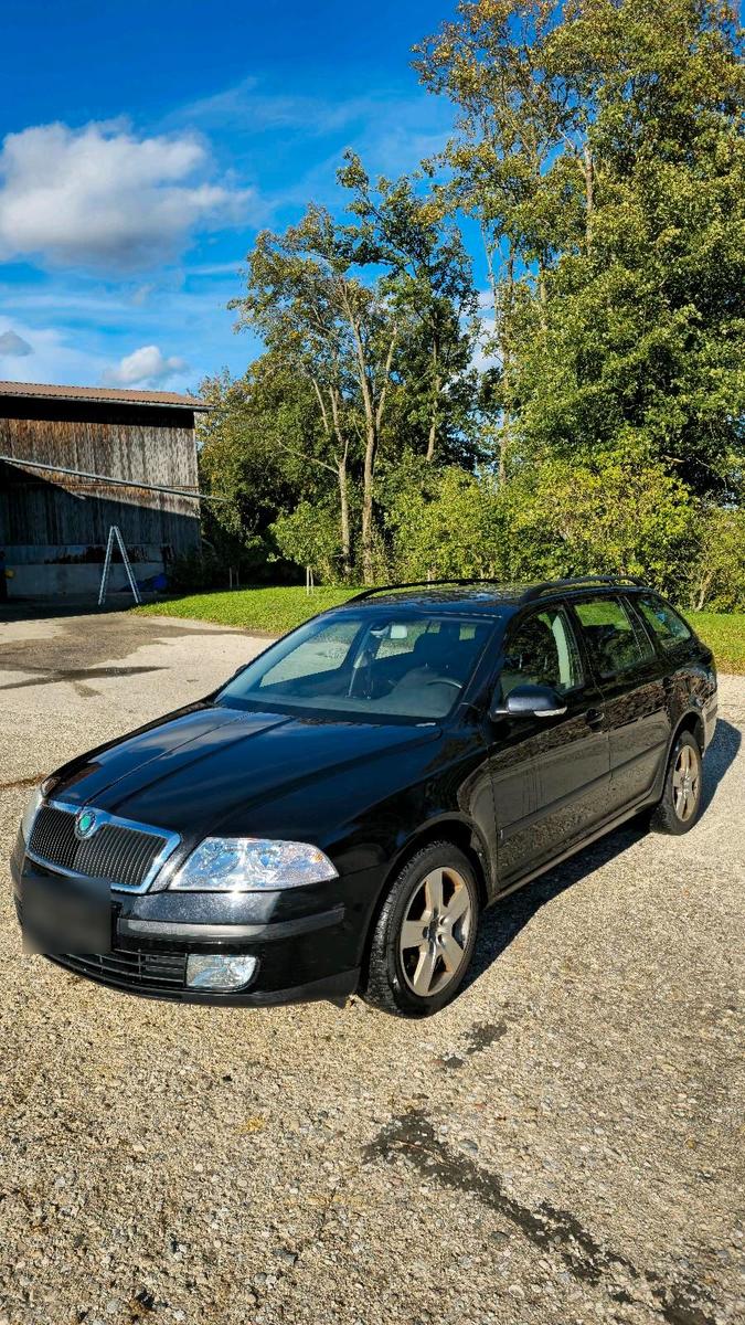 Skoda Octavia 2006 — rear view