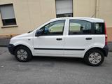 Fiat Panda - Fiat Panda Gebrauchtwagen in Wuppertal