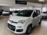 Fiat Panda 1.2 Pop *Klima*HU/AU* - Fiat Panda in Hagen