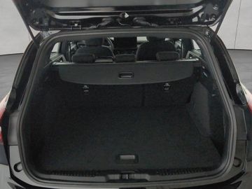 Ford Focus - 5