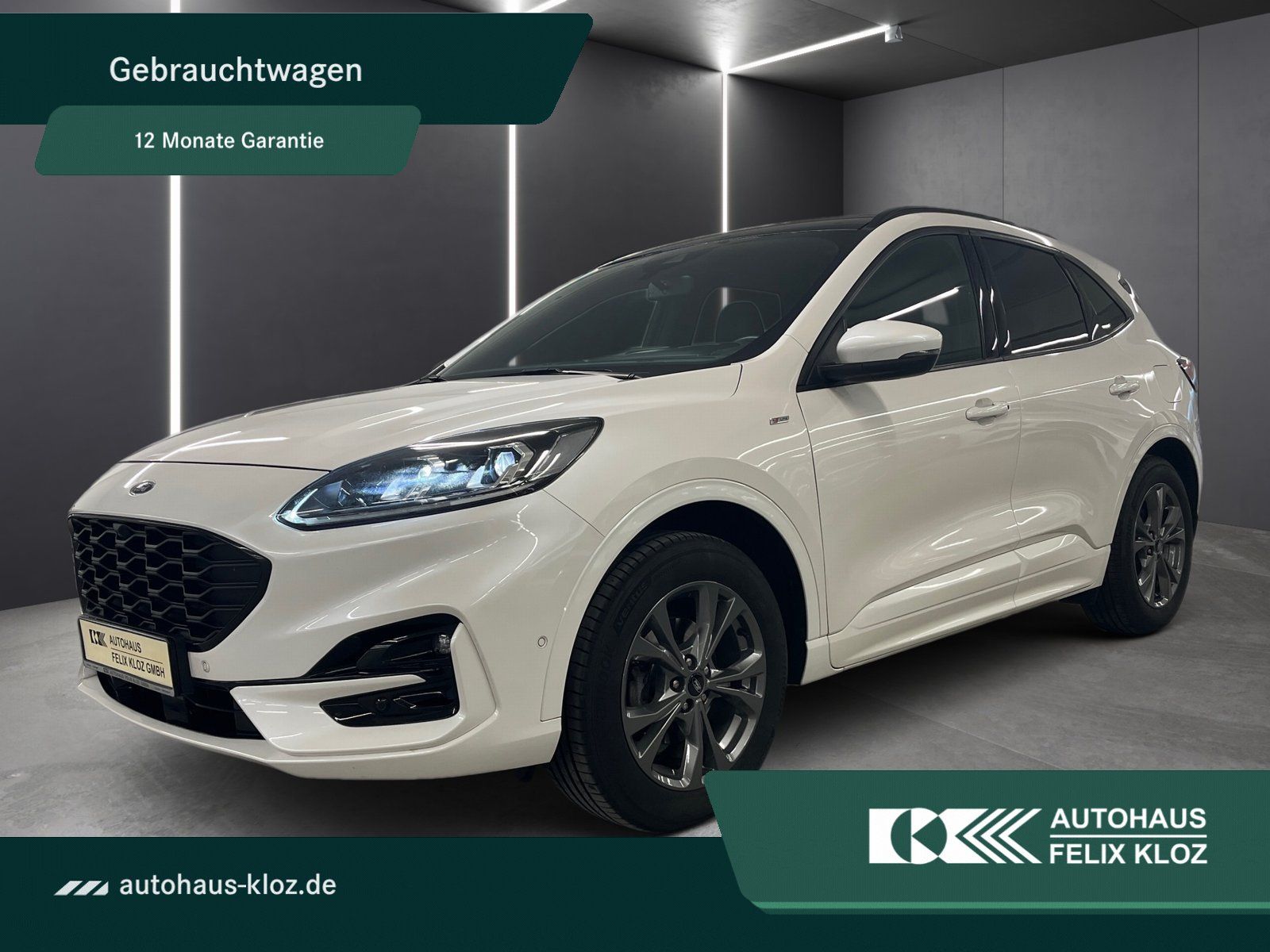 Fahrzeugabbildung Ford Kuga 2.0 EcoBlue ST-Line X*AHK*Panorama*Fahrassi