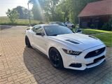 Ford Mustang 5.0 Ti-VCT V8 GT  - Ford in Villingen-Schwenningen