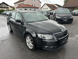 Skoda Octavia Combi Joy *DAB* - Skoda Octavia: Joy
