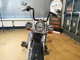 Harley-Davidson FLDE*DELUXE 107-Jekill&Hyde-Ape-TOP! - Offers
