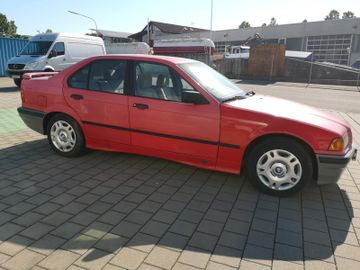 BMW 316 - 5