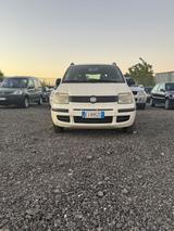 Fiat Panda 1.3 MJT 16V DPF Dynamic - Fiat Panda Dynamic mit Diesel-Antrieb