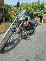 Yamaha Virago 535 - YAMAHA VIRAGO 535