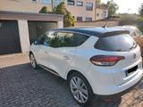 Renault Scenic LIMITED Deluxe TCe 115 - Renault Scenic in Stuttgart