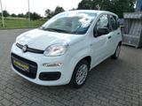 Fiat Panda Easy*Klima*Radio-DAB+*Bluetooth*GJ-Räder* - gebrauchte Fiat Panda aus dem Jahr 2019