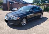 Jaguar XF 3.0 V6 Diesel Automatik  Elegan... - Jaguar XF in Bremen