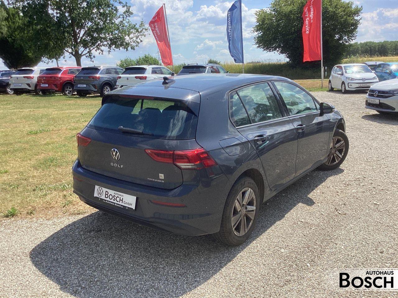 Volkswagen Golf VIII 1.5 TSI Life AHK Standheizung 4 x SHZ, миниатюра 5