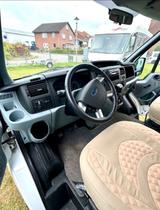 Ford Carado T337  - Angebote
