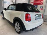 MINI Cooper Cabrio - MINI Cooper Cabrio mit Schiebedach