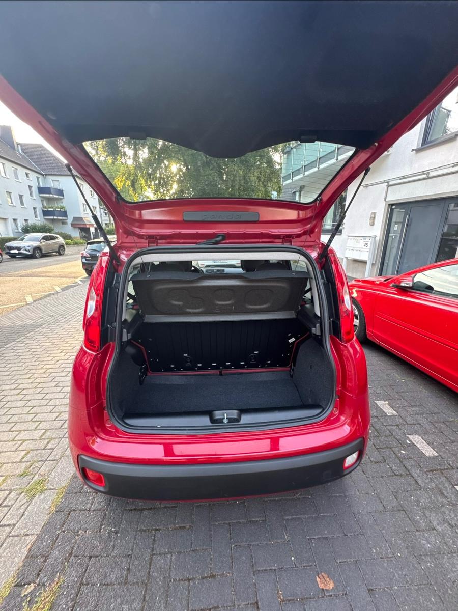 Fiat Panda - NUR 25.000km - Rentnerfahrzeug 2. Hand